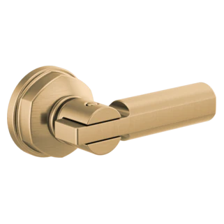 Brizo Invari: Universal Flush Lever