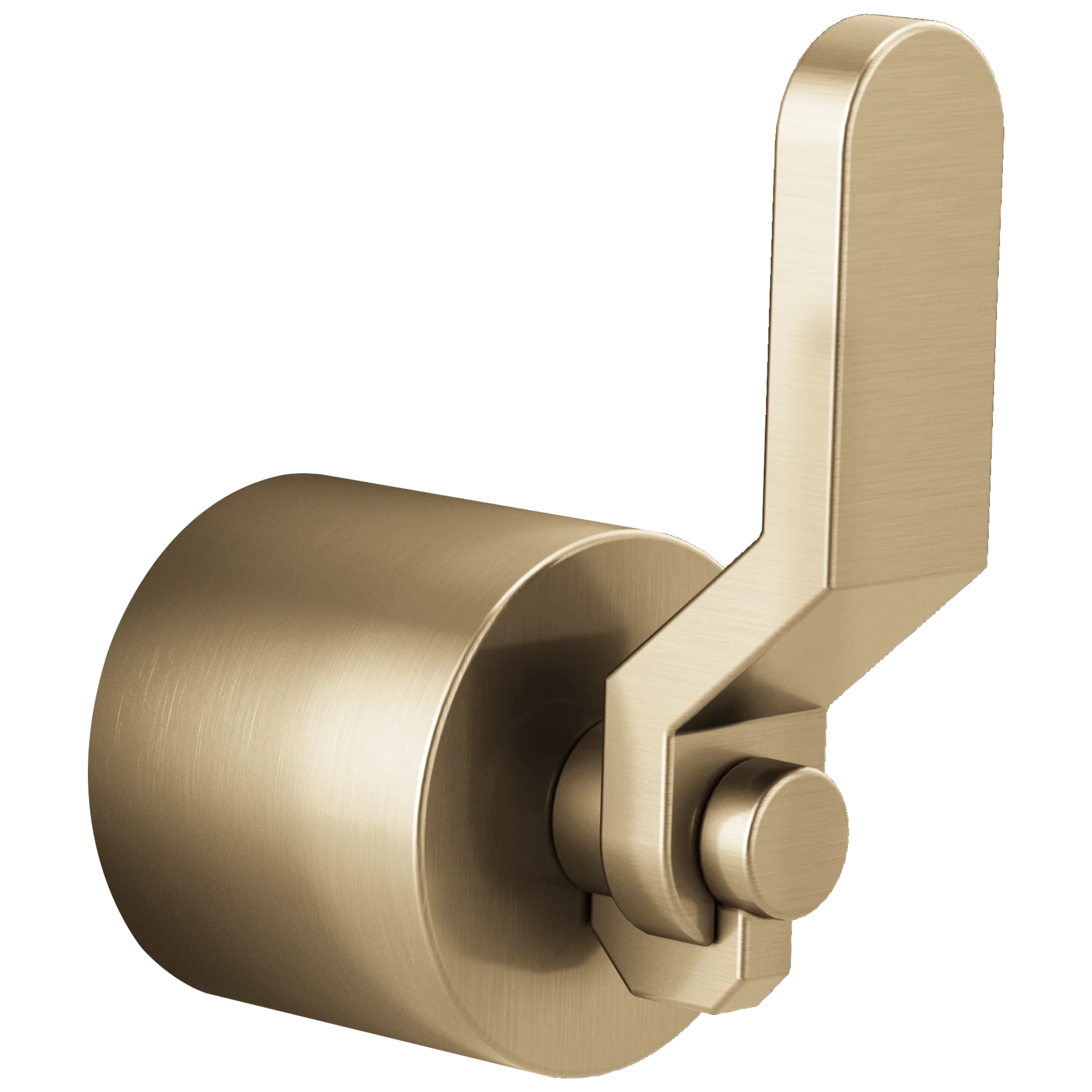 Brizo Litze: Single-Handle Freestanding Tub Filler Handle Kit - Industrial Lever