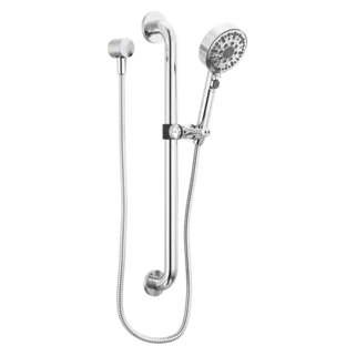 Peerless Precept: ADA hand shower