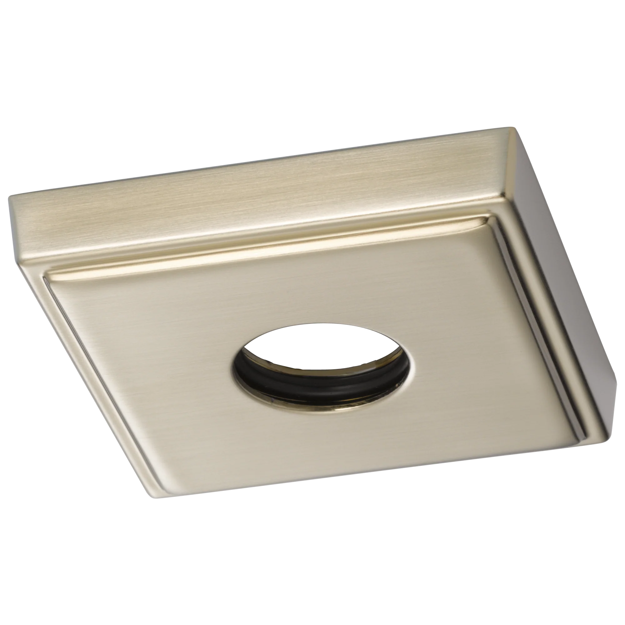 Brizo Other: Shower Flange