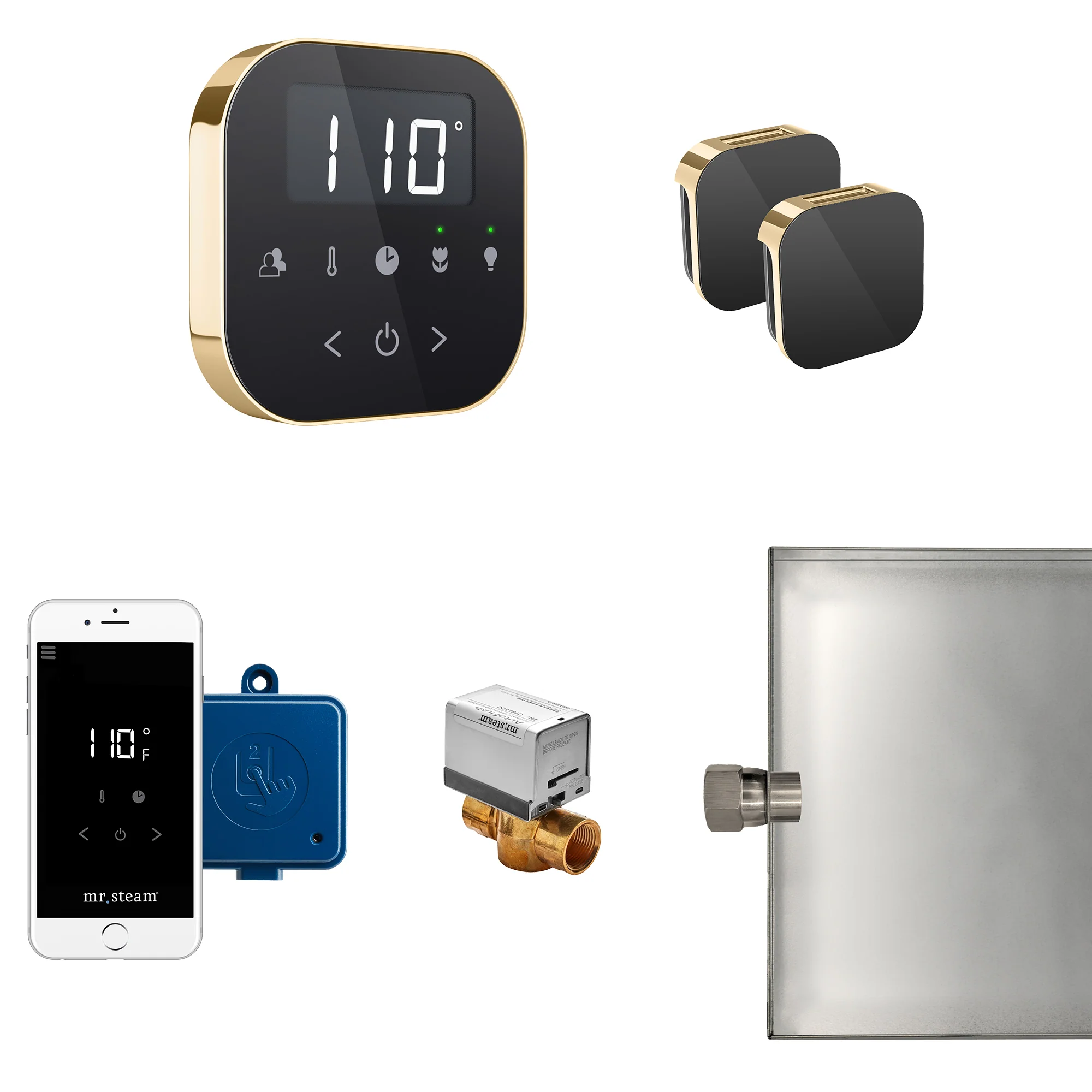 mr. steam ABUTLER1W-SB AirButler® Steam Generator Control Kit / Package in White Satin Brass - Image 5