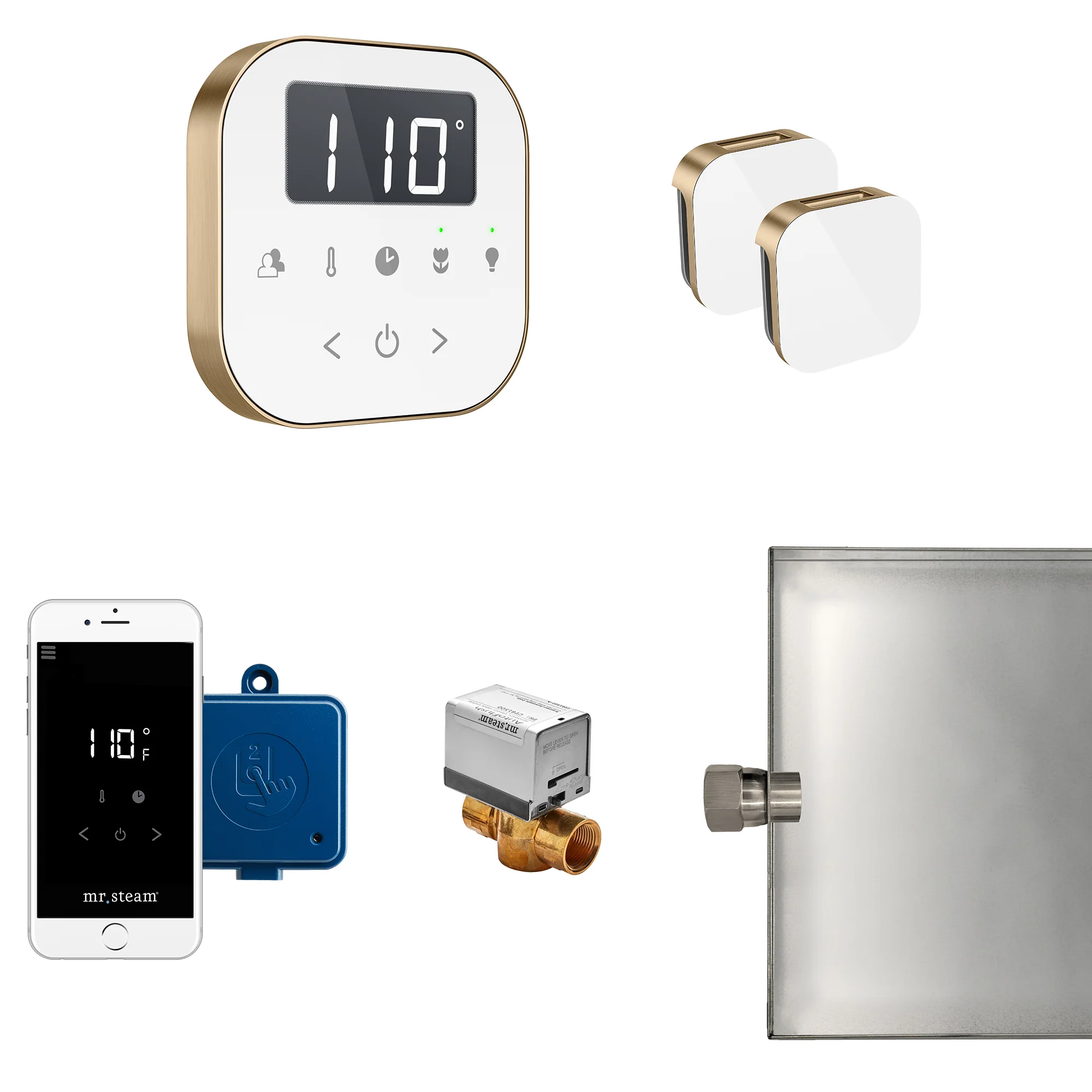 mr. steam ABUTLERXB AirButler® Max Steam Generator Control Kit