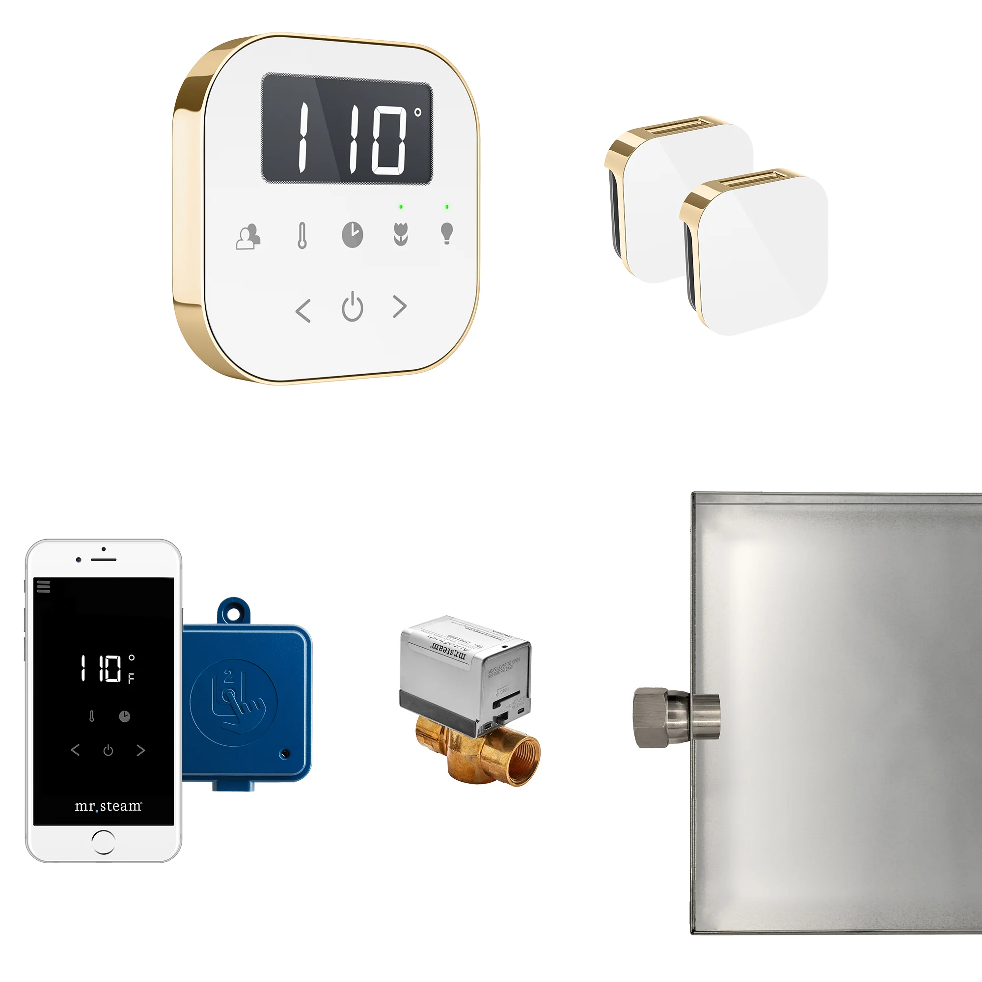 mr. steam ABUTLERXB AirButler® Max Steam Generator Control Kit - Image 5