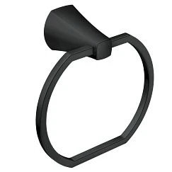 Moen Towel Ring