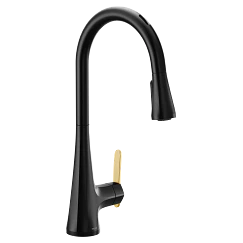 Moen  One-Handle Pulldown Kitchen Faucet
