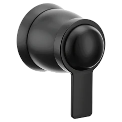 Moen Volume Control
